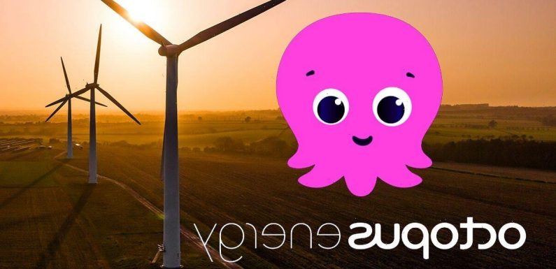 Octopus Energy offers to slash YOUR bills – but you’ll have to look after a wind turbine