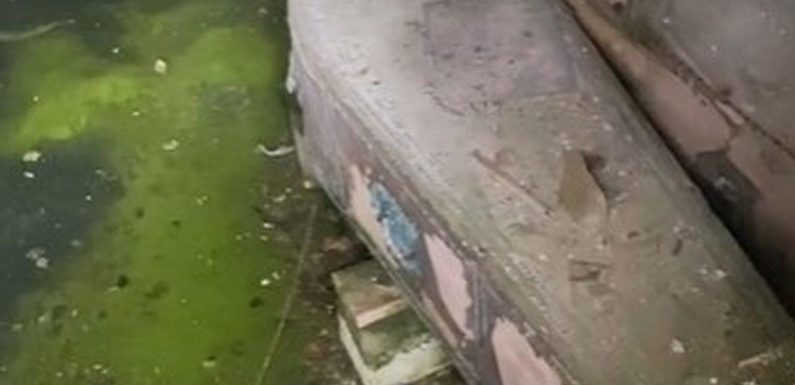 Real-life vampire fears after creepy coffins found in eerie abandoned tunnel