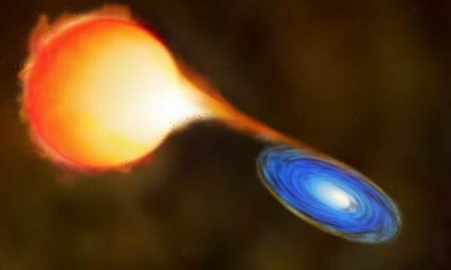 Scientists find 'slimmer' red giant that is 'having mass sucked away'