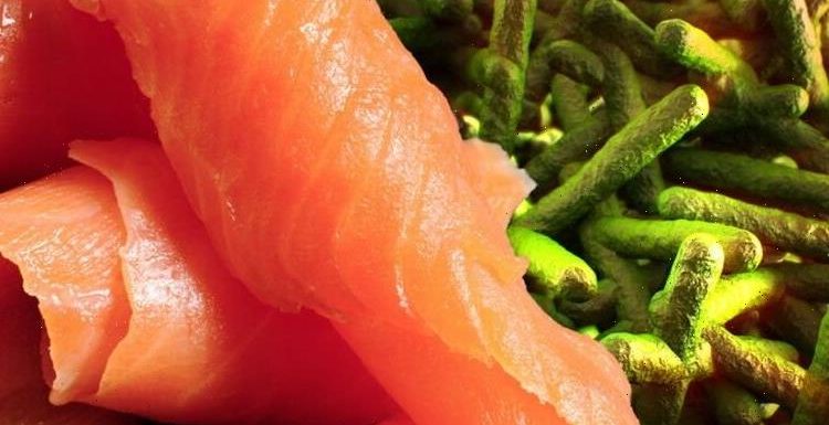 Smoked salmon warning: Listeria outbreak sparks medical alert in Britain