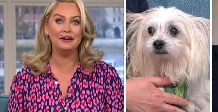 This Morning crew scramble as dog causes chaos mid-interview