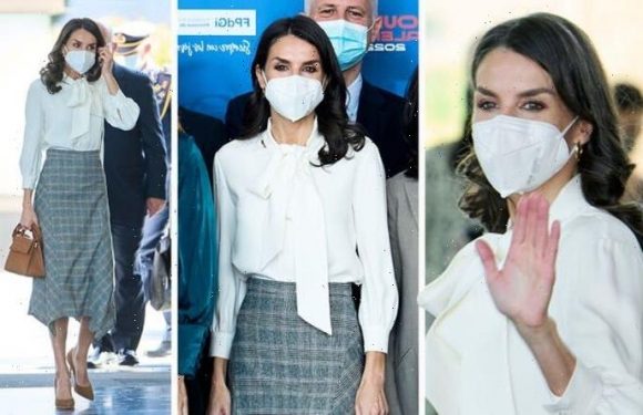 ‘Very chic!’ Queen Letizia of Spain steps out wearing favourite grey Massimo Dutti skirt