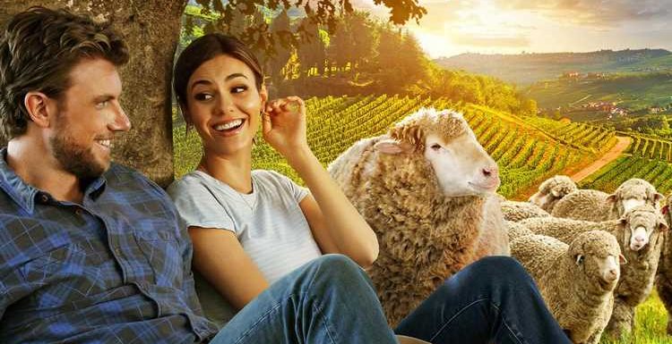 Victoria Justice Heads to the Ranch In ‘A Perfect Pairing’ Trailer with Adam Demos – Watch Now!