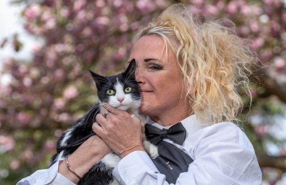 Woman marries beloved cat so killjoy landlords can’t force her to get rid of it
