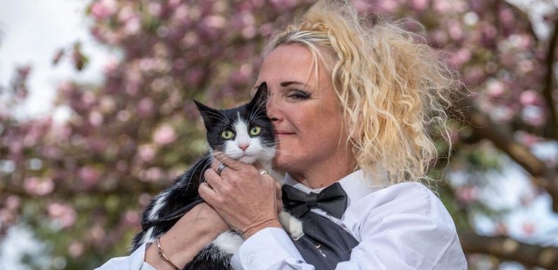 Woman marries beloved cat so killjoy landlords can’t force her to get rid of it