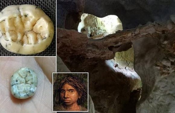 Ancient tooth found in Asia belonged to a Denisovan girl, study says