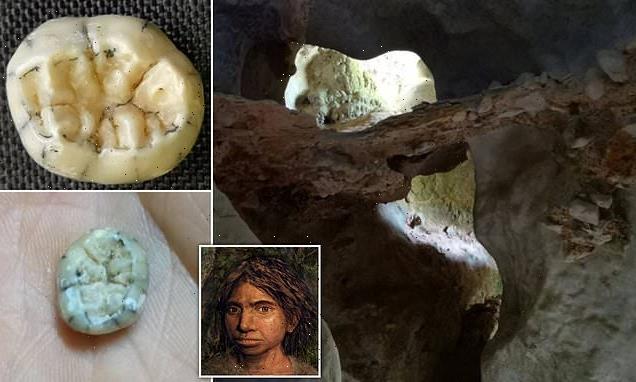 Ancient tooth found in Asia belonged to a Denisovan girl, study says