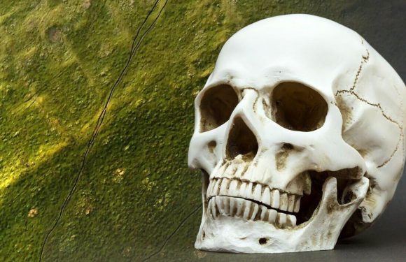 Archaeologists spooked by ‘disturbing’ burial pit discovery in lost UK medieval village