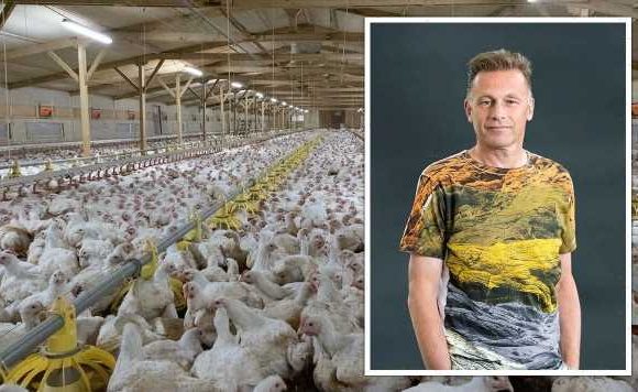 BBC’s Chris Packham slams Co-op’s use of fast-growing ‘Frankenchickens’