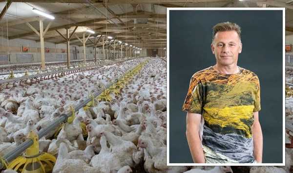 BBC’s Chris Packham slams Co-op’s use of fast-growing ‘Frankenchickens’
