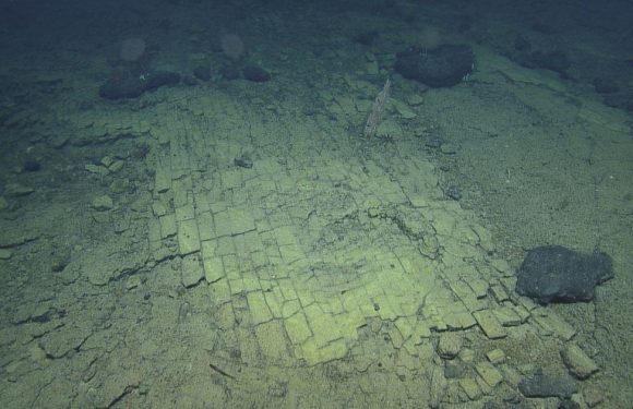 Bizarre ‘yellow brick road to Atlantis’ discovered at bottom of Pacific Ocean