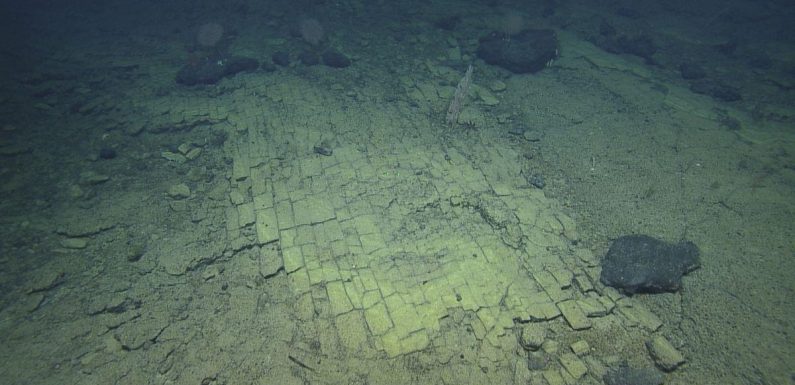 Bizarre ‘yellow brick road to Atlantis’ discovered at bottom of Pacific Ocean