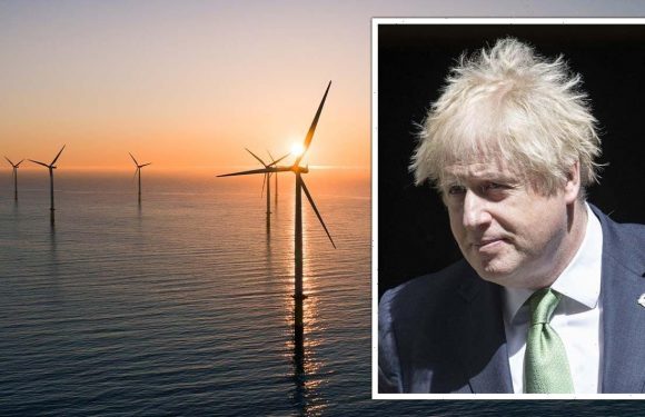 Britain squanders major energy opportunity as green projects cap to keep bills high