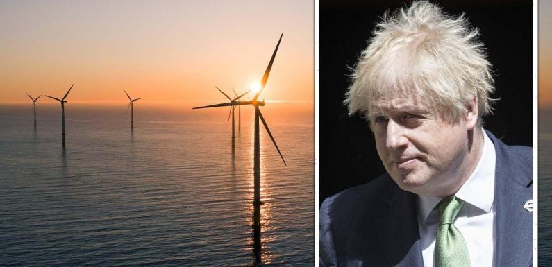 Britain squanders major energy opportunity as green projects cap to keep bills high
