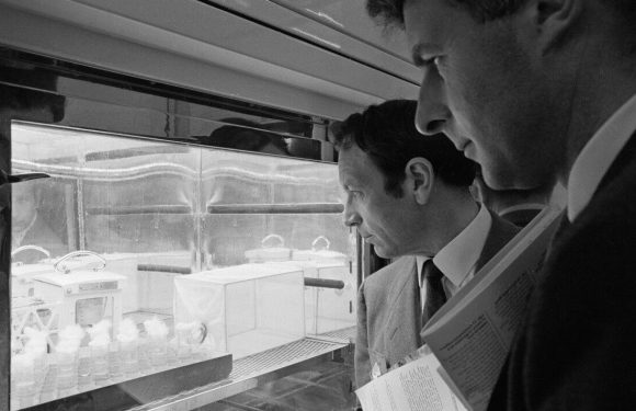 Chemical weapon horror: Briton’s windpipe ‘constricted to size of straw’ after exposure