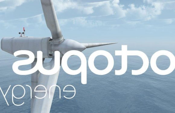 Energy crisis: Octopus’ new ‘floating’ offshore wind farm to slash Russia reliance