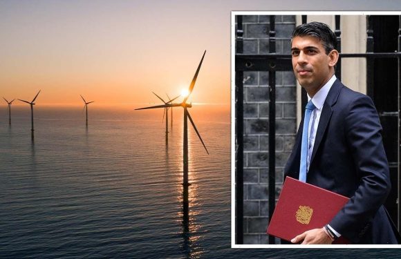 Energy crisis: Sunak’s windfall tax threatens to scupper UK’s net zero plans