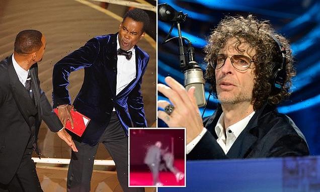 Howard Stern slams Oscars audience for not helping Chris Rock