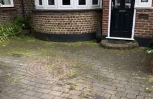 I transformed my mossy, dirty driveway to look pristine using a simple trick and it was so easy – here’s how