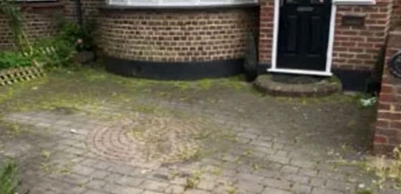 I transformed my mossy, dirty driveway to look pristine using a simple trick and it was so easy – here’s how