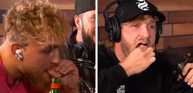 Jake And Logan Paul Eat Raw Cow Testicles, 'Can I Get A Spit Bucket?'