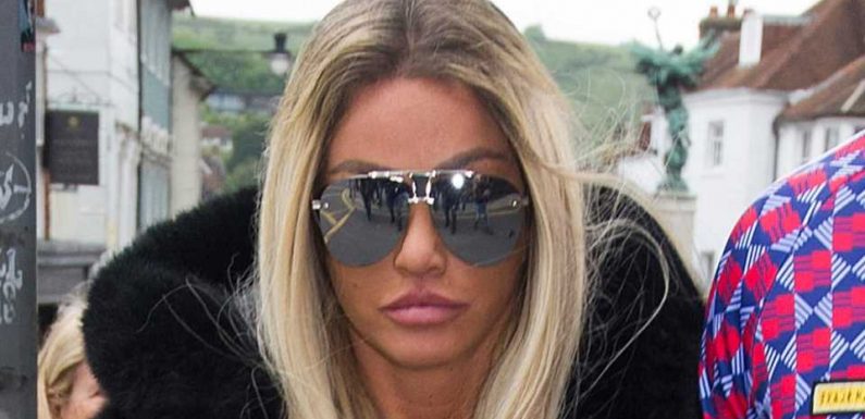 Katie Price celebrates finally completing 100 community service for car crash and vows to continue – as she faces jail