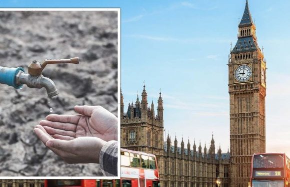London faces ‘increasing danger of drought’ over water scarcity: ‘Sound the alarm’