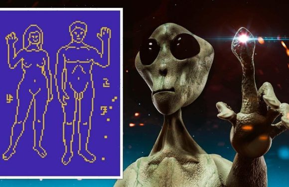 NASA to send naked pictures of humans into space in bid to ‘attract aliens’