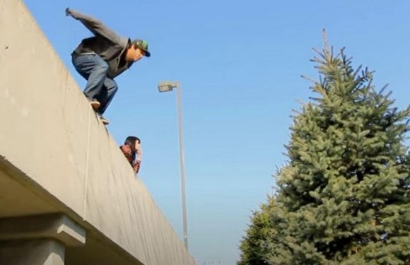 New craze sees thrill seekers launch themselves headfirst into bushes