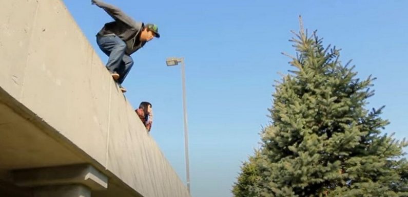 New craze sees thrill seekers launch themselves headfirst into bushes