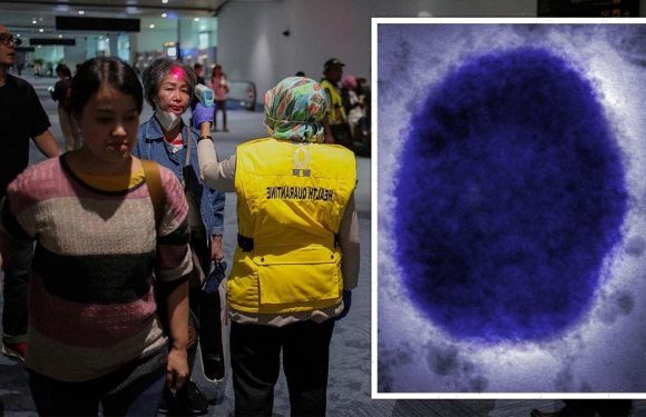 New pandemic warning issued after 250m die of monkeypox in horror war game simulation