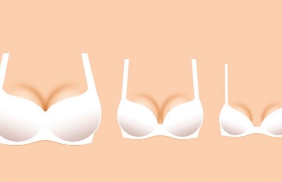 People are discovering the real reason why we call breasts ‘boobs’ and it’s blowing their minds