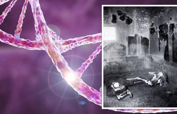 Pompeii breakthrough: Ancient DNA reveals secrets of doomed Roman city’s residents