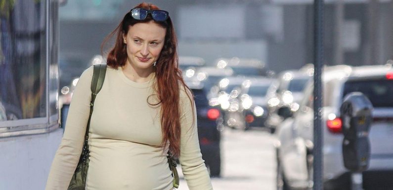 Pregnant Sophie Turner holds hands with adorable daughter Willa, one, on LA stroll