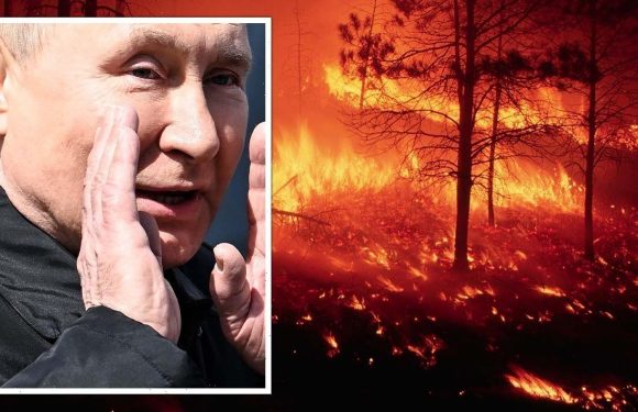 Putin panic as area ‘larger than Luxembourg’ scorched after 4,000 forest fires