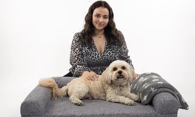 Remote-activated vibrating dog bed promises to help keep pets calm