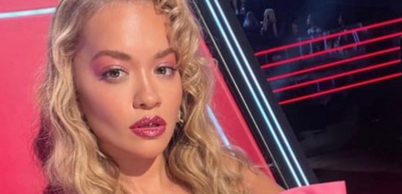 Rita Ora dazzles fans as she slips into plunging pink bow dress in glam snaps