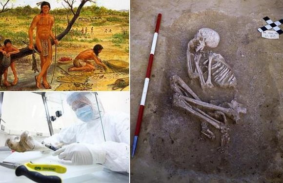 Scientists study genomes to find origins of the first farmers