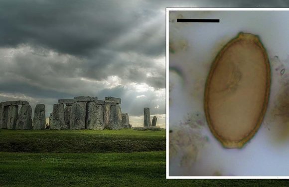 Stonehenge breakthrough as Neolithic chefs’ ‘winter feast’ secrets unveiled for first time