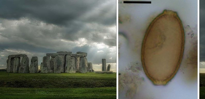 Stonehenge breakthrough as Neolithic chefs’ ‘winter feast’ secrets unveiled for first time