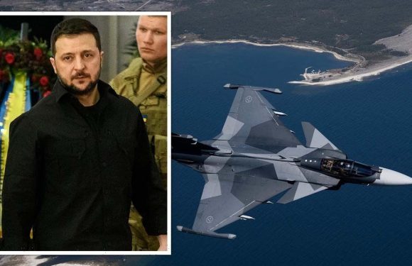 Sweden can deploy ‘more than 1,000’ fighter planes to help Ukraine after joining NATO