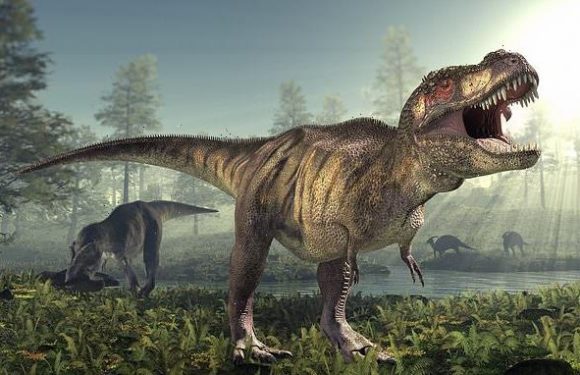 T. rex was WARM-blooded, study finds