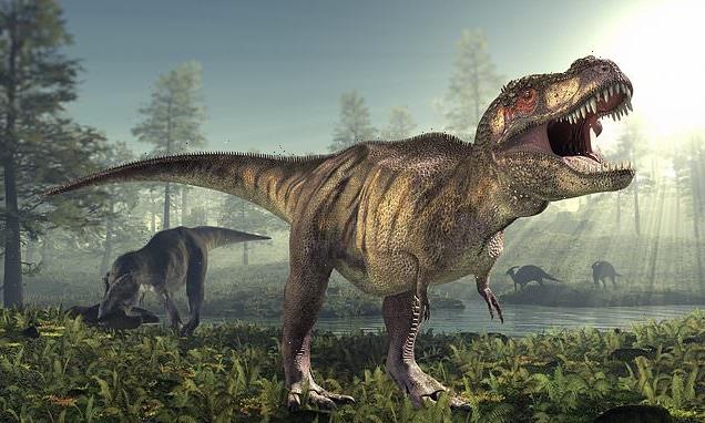 T. rex was WARM-blooded, study finds