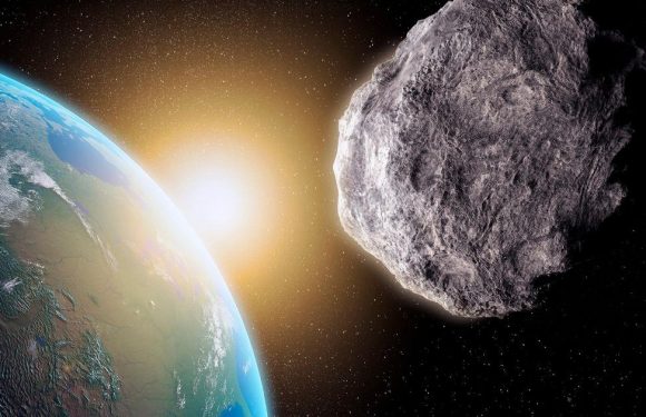 Time traveller claims asteroid ‘half the size of the moon’ will approach Earth