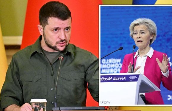 Ukraine lambasts EU over its weak support as Putin attempts to STARVE Kyiv into submission