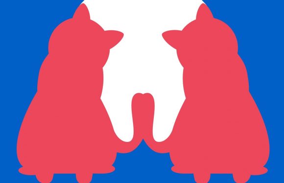 What you see first in optical illusion reveals if you're playful or super goal-orientated