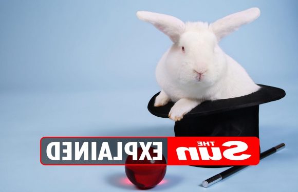 Why do we say ‘white rabbits’ on the first day of the month? – The Sun