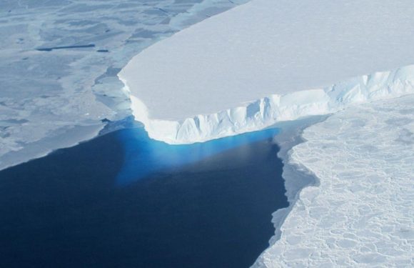 Antarctica horror: Bones discovered at ‘Doomsday glacier’ paint ‘disastrous’ picture