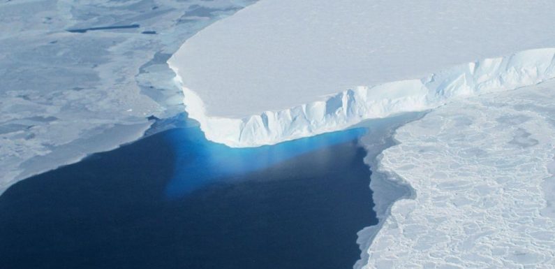 Antarctica horror: Bones discovered at ‘Doomsday glacier’ paint ‘disastrous’ picture