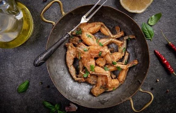 Appetite for frogs' legs in Europe is driving species to extinction